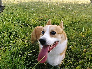 f0200795_21493019.jpg