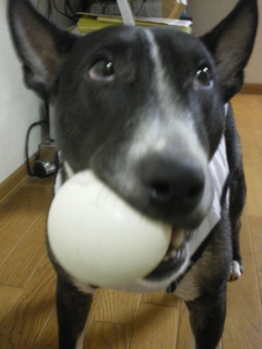 c0212703_944053.jpg