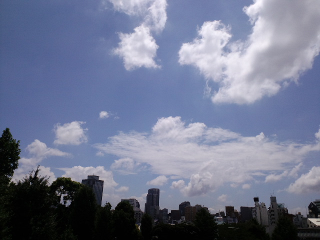 夏空_a0088007_11432554.jpg