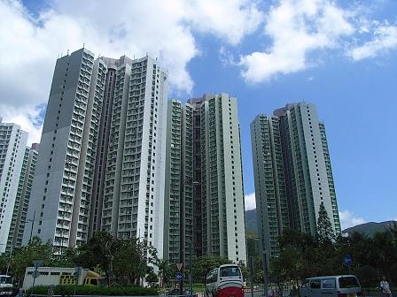 e0087008_820748.jpg