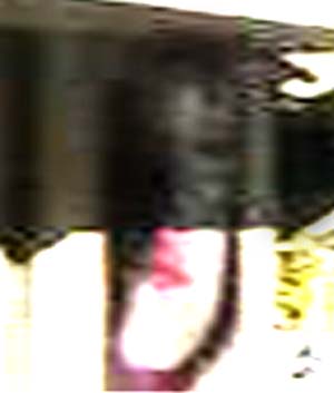 e0103408_14485891.jpg
