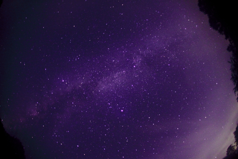 f0210808_511472.jpg