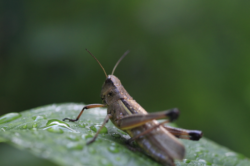 f0210808_5301196.jpg