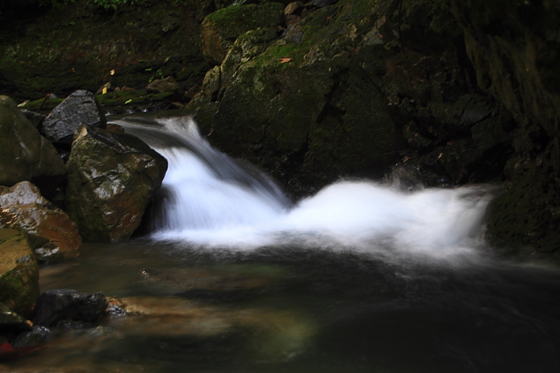 f0210808_532696.jpg