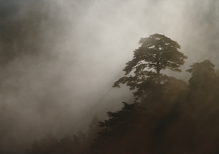 f0210808_5432591.jpg