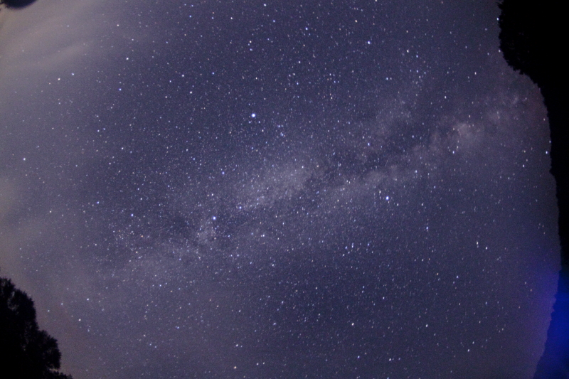 f0210808_5536.jpg