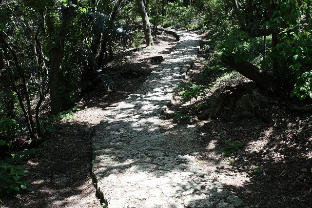 f0139911_20582416.jpg