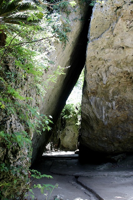 f0139911_20584899.jpg