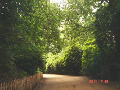 e0211912_1047284.jpg