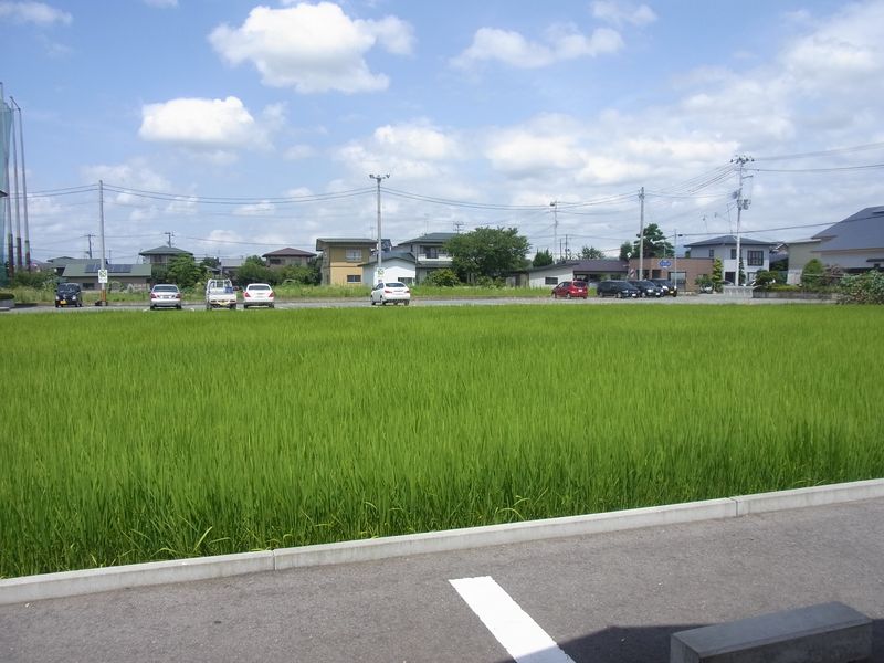 山形大学特別講義2日目_c0025115_2118105.jpg