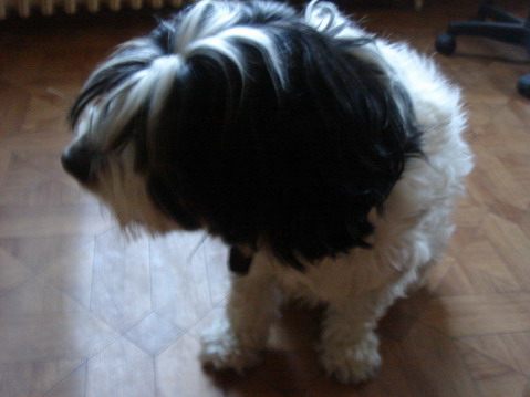 c0124619_3244715.jpg