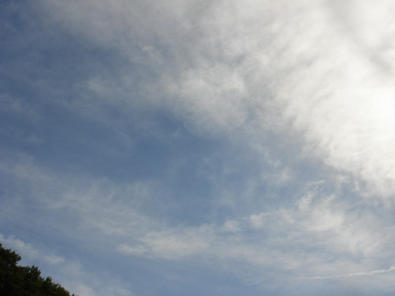 c0124619_526368.jpg