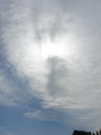c0124619_526811.jpg