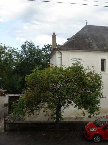 c0124619_527118.jpg
