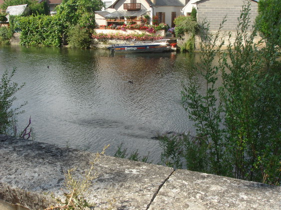 c0124619_5523081.jpg