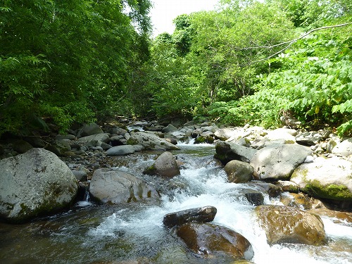 d0227723_6194579.jpg