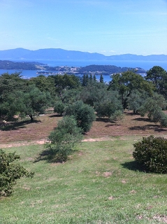 e0094325_14111838.jpg
