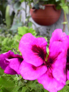 a0188926_2223257.jpg