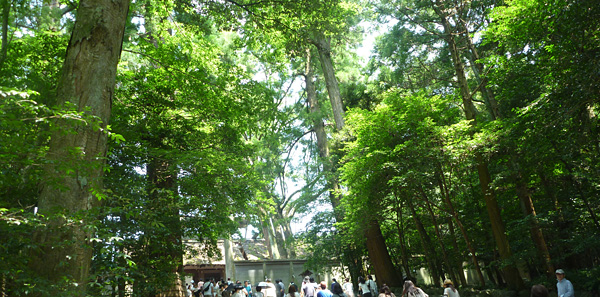 e0089826_21293245.jpg