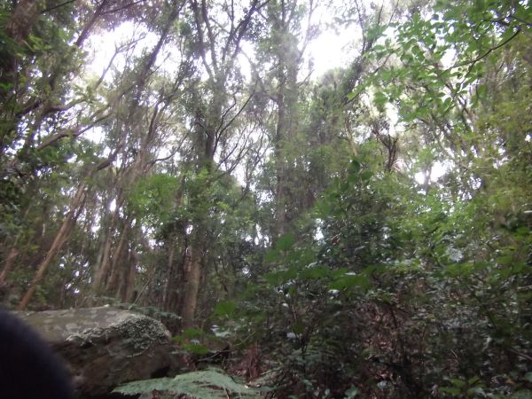 c0222430_1011498.jpg