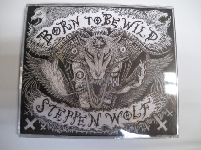Born to Be Wild_a0093332_9261824.jpg