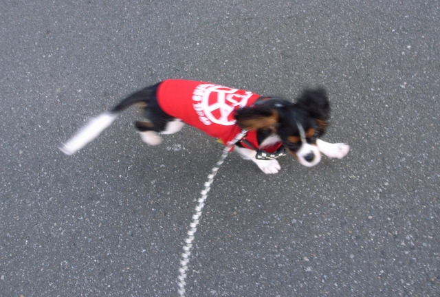 一夜で200g増て・・・_c0051132_19113811.jpg