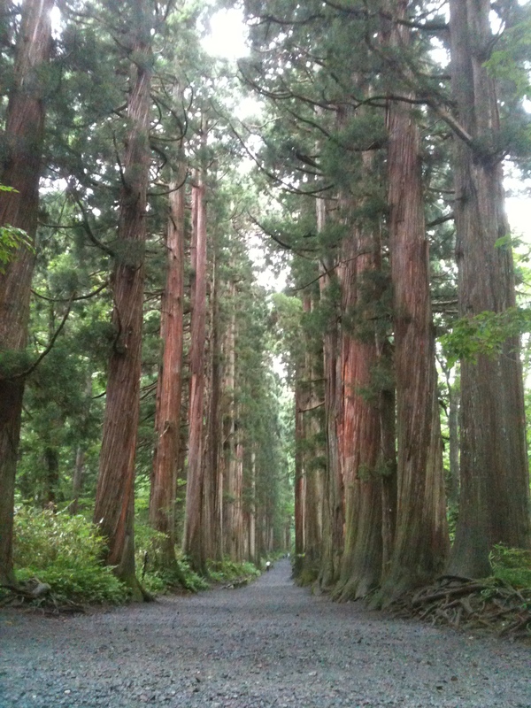 戸隠山　～神々とお猿に逢える山～_b0217035_1736116.jpg