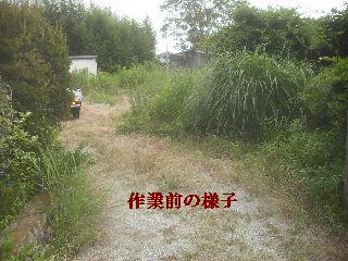 f0031037_20331926.jpg