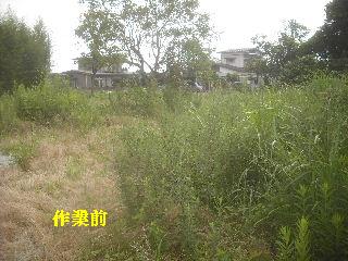 f0031037_20332677.jpg