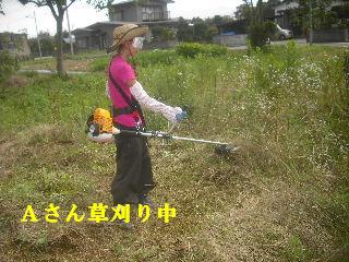 f0031037_2052269.jpg