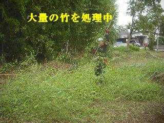 f0031037_2055158.jpg