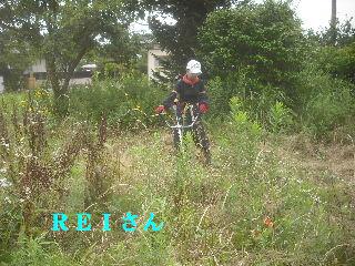 f0031037_2055697.jpg