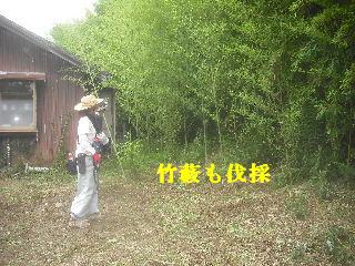 f0031037_2058133.jpg
