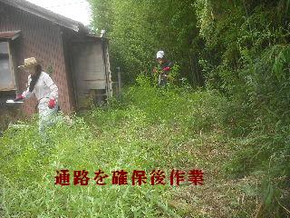 f0031037_2059396.jpg
