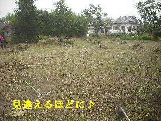 f0031037_2132035.jpg