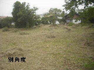 f0031037_2132749.jpg