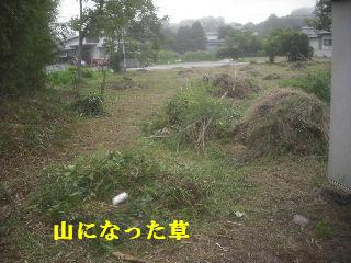 f0031037_2135225.jpg