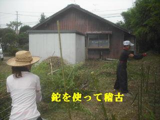 f0031037_218284.jpg