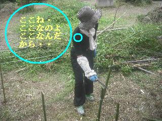 f0031037_2183416.jpg