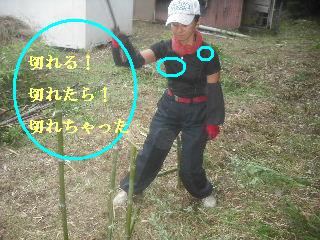 f0031037_2184189.jpg
