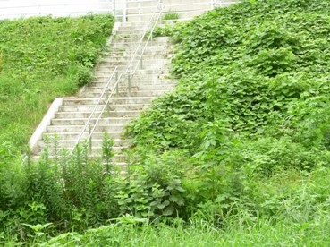 b0169238_22215571.jpg