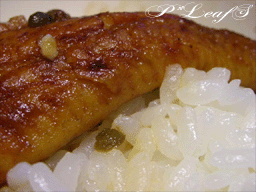 久々の大人だけランチ_c0176651_11554271.gif