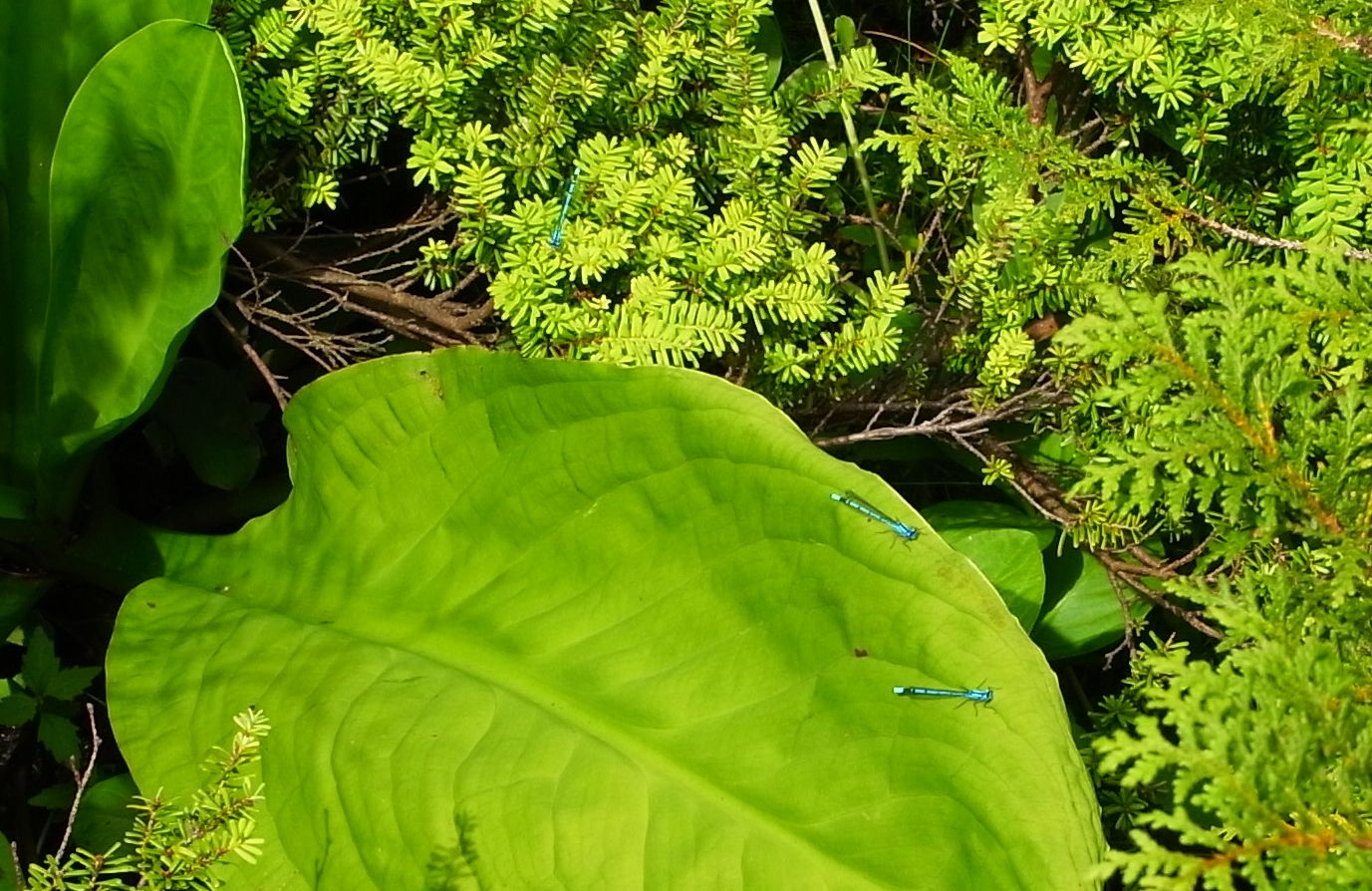 e0223456_9315014.jpg