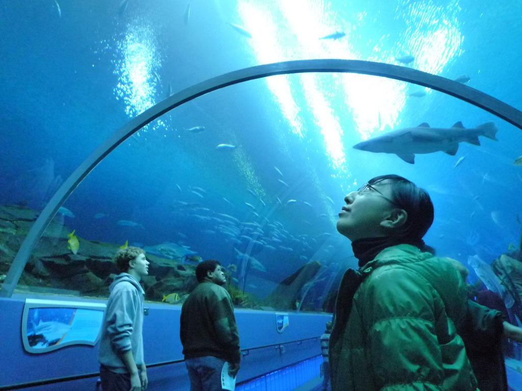 サンクスギビングのアトランタ旅行記３ １１月２７日 フィーバー コロンバス