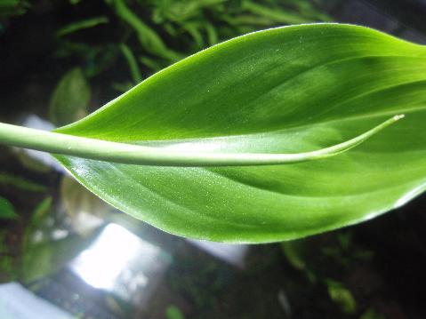a0194582_21232167.jpg