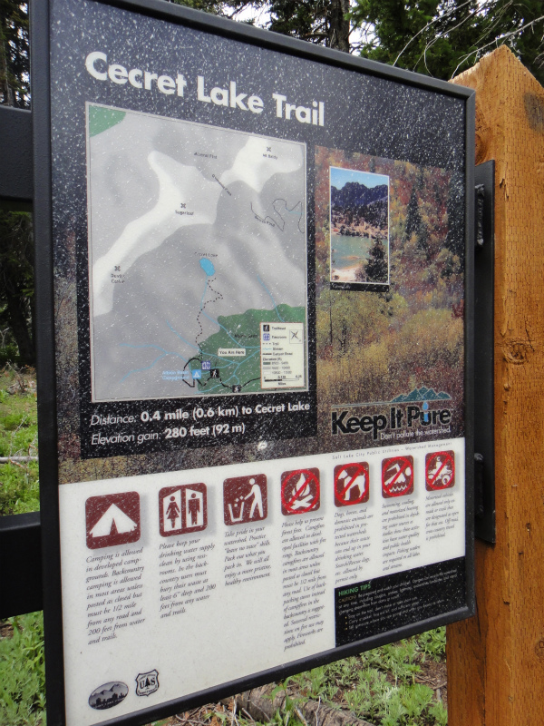 2011/07/31 アメリカ・トリップ After speedgoat 50K_b0220886_1434055.jpg