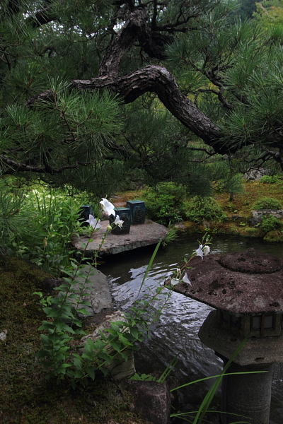 南禅寺 大寧軒_e0051888_21431431.jpg