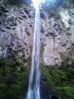 b0035391_20205942.jpg