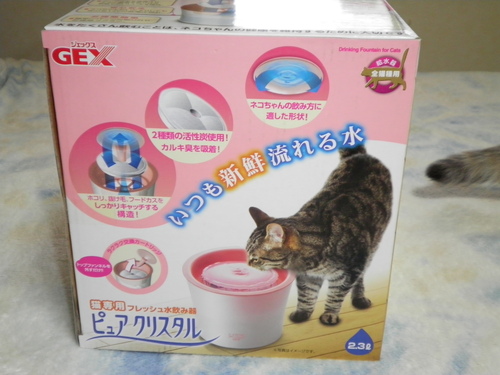 猫ちゃんの自動水のみ器当たりました_c0223591_16481084.jpg