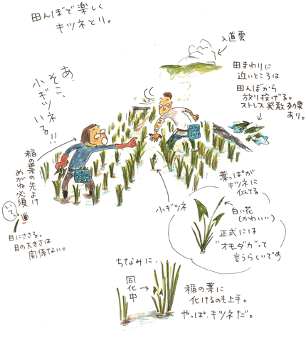 f0236291_11155640.gif